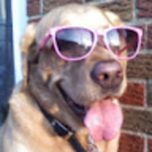 Meet your Posher, Sam